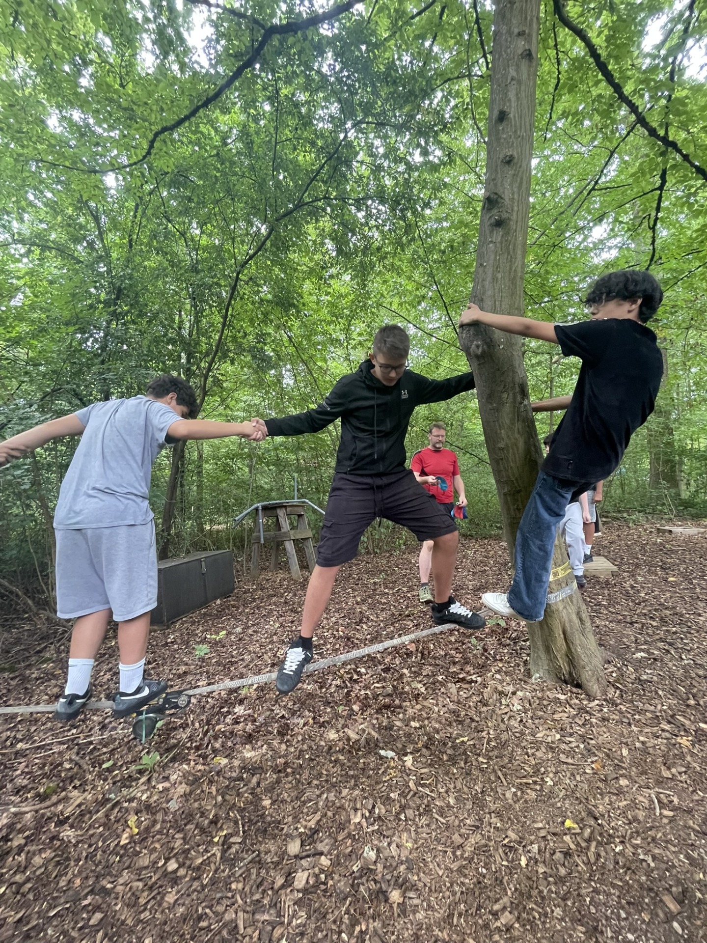 Teambuilding im Waldklettergarten